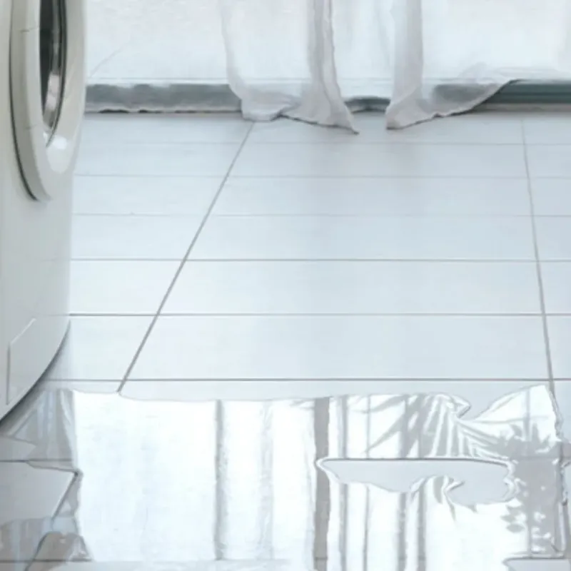 Appliance Leak Cleanup in Lacey, WA
