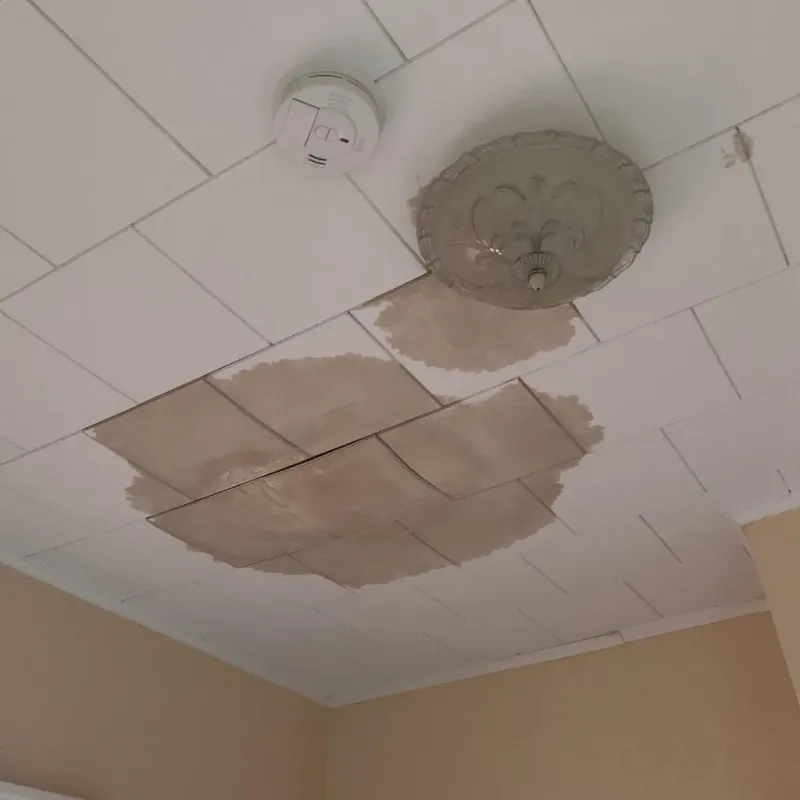 Ceiling Water Damage Repair in Lacey, WA